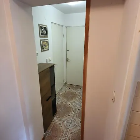 Rozalia Апартаменты Виселка